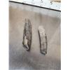 Image 3 : 2 Woolly Mammoth Tusk Sections Fossilized Fossil