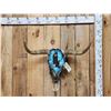 Image 1 : Hand Painted Steer Skull Taxidermy