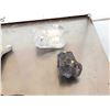 Image 2 : Florida Ice Age Fossil Lot