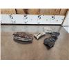 Image 5 : Florida Ice Age Fossil Lot