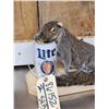 Image 2 : Drunken Squirrel Full Body Taxidermy Mount