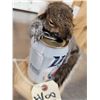 Image 5 : Drunken Squirrel Full Body Taxidermy Mount
