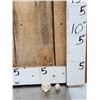 Image 1 : Patagonian Cavy & Plantain Squirrel Skulls Taxidermy