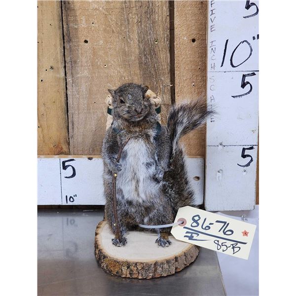 Backpacking Squirrel Full Body Taxidermy Mount