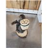 Image 4 : Backpacking Squirrel Full Body Taxidermy Mount