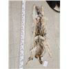 Image 1 : Canadian Wolf Soft Tanned Fur