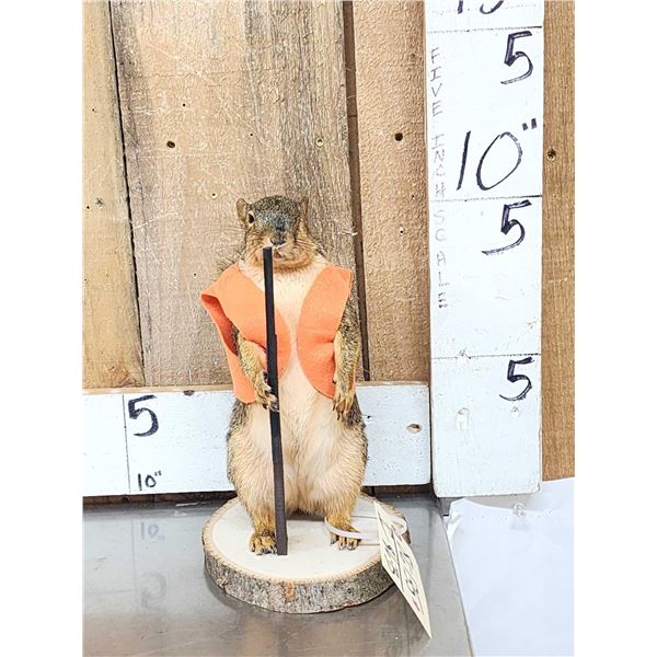 Hunting Squirrel Full Body Taxidermy Mount