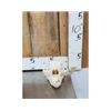 Image 2 : Black Bear Skull With Pathology ( healed broken jaw )
