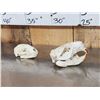 Image 5 : Small Animal Skulls Lot Taxidermy