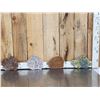 Image 1 : 4 Pretty Raw Mineral Slabs