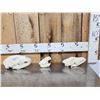Image 1 : Animal Skulls Lot Taxidermy