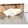Image 2 : Animal Skulls Lot Taxidermy