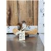 Image 1 : Squirrel In A Birch Bark Canoe Taxidermy