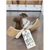 Image 4 : Squirrel In A Birch Bark Canoe Taxidermy