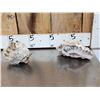Image 4 : 2 Beautiful Mineral Specimens