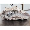 Image 6 : 2 Beautiful Mineral Specimens