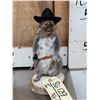 Image 2 : 3 Cute Critters Taxidermy Lot