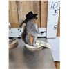 Image 3 : 3 Cute Critters Taxidermy Lot