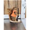 Image 9 : 3 Cute Critters Taxidermy Lot