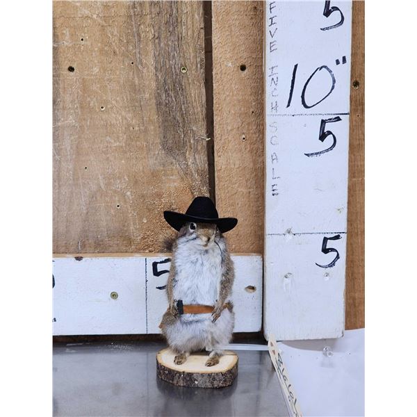 Sheriff Squirrel Full Body Taxidermy Mount