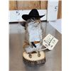 Image 3 : Sheriff Squirrel Full Body Taxidermy Mount