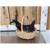 Image 3 : Chicken In A Basket Full Body Bird Taxidermy