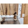 Image 3 : 3 Cute Critters Taxidermy Lot