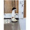 Image 2 : Sheriff Weasel Taxidermy Mount
