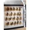 Image 5 : 40 Black Bear Claws Taxidermy