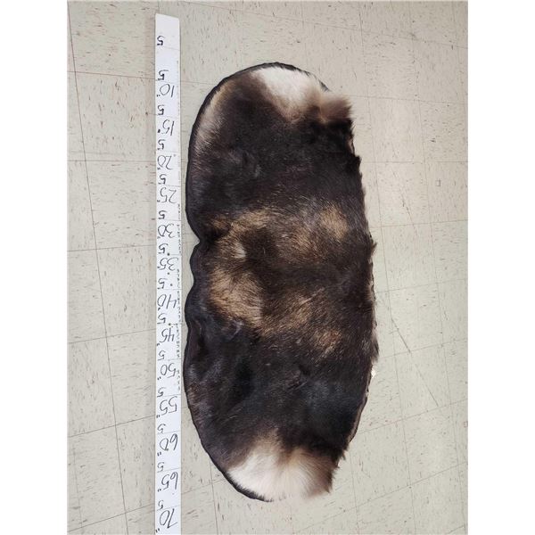 Moose Skin Rug Taxidermy