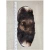 Image 1 : Moose Skin Rug Taxidermy
