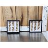 Image 1 : 40 Black Bear Claws Taxidermy