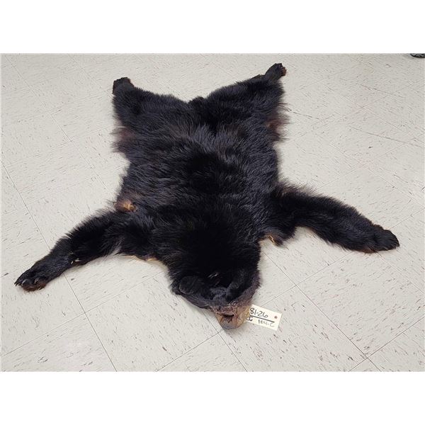 Black Bear Soft Tanned Fur Taxidermy