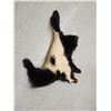 Image 3 : Black Bear Soft Tanned Fur Taxidermy