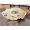 Image 3 : Black Bear Skull Taxidermy