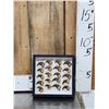 Image 1 : Set Of 20 Black Bear Claws Taxidermy
