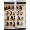 Image 3 : Set Of 20 Black Bear Claws Taxidermy