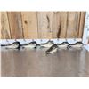 Image 1 : 6 Taxidermy Alligator Heads