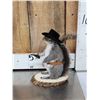 Image 5 : 3 Cute Critters Taxidermy Lot