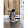 Image 6 : 3 Cute Critters Taxidermy Lot