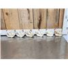 Image 2 : 6 Beaver Skulls Taxidermy