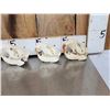 Image 5 : 6 Beaver Skulls Taxidermy