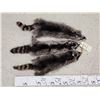 Image 1 : 3 Raccoon Soft Tanned Furs