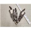 Image 3 : 3 Raccoon Soft Tanned Furs