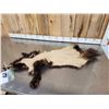 Image 6 : Alaskan Wolverine Soft Tanned Fur