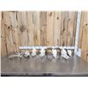 Image 1 : Game Animal Skull Lot Taxidermy
