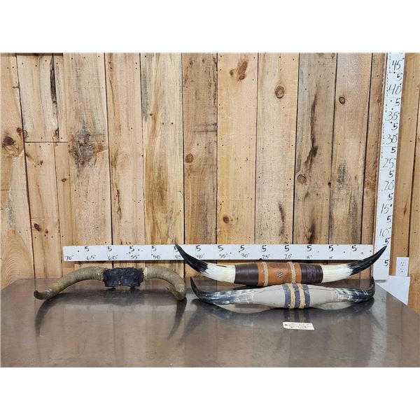 3 Sets Of Bull Horns Taxidermy