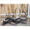 Image 1 : African Skulls & Horns Lot Taxidermy