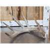 Image 1 : Giant 87 3/8" 5 Point Whitetail Shed Antler