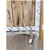 Image 2 : Giant 87 3/8" 5 Point Whitetail Shed Antler